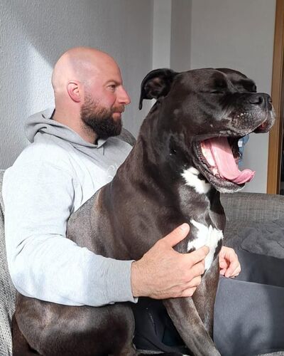  ,   Edward, 55 ,   ,   