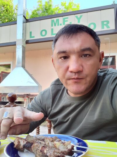  ,   Dimik, 49 ,   ,   , c 