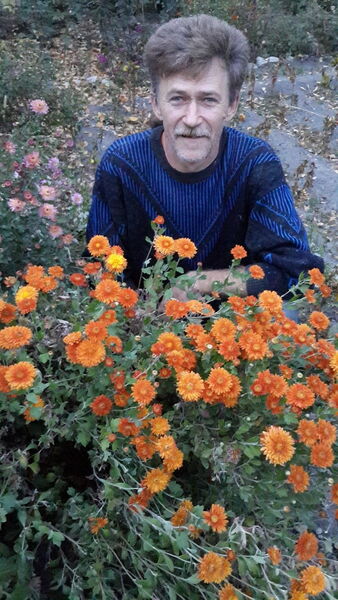  ,   , 59 ,  