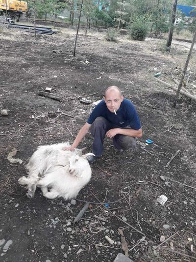  ,   , 41 ,   