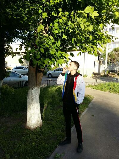  ,   Vupsen, 26 ,  