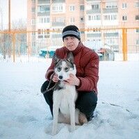  ,   Khanakovich, 31 ,   ,   , c 