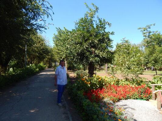  ,   , 55 ,   