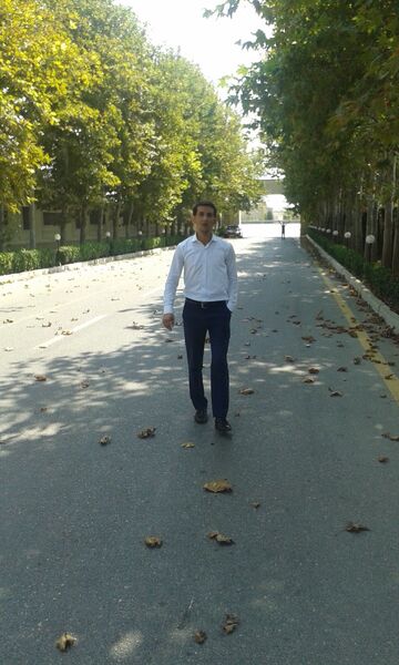  ,   Evez, 39 ,   ,   , c 