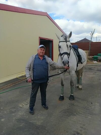  ,   , 61 ,   ,   , c , 