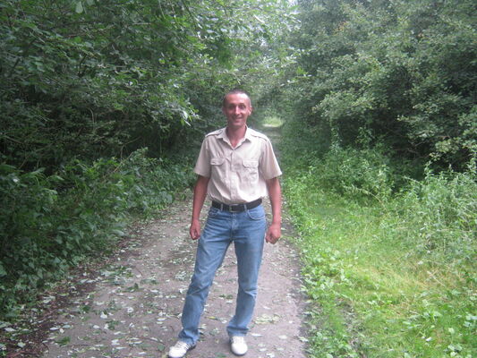  -,   , 41 ,   