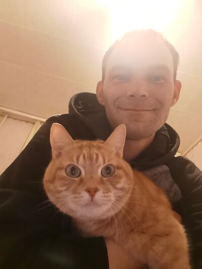  ,   , 36 ,   ,   , 