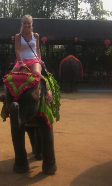  ,   , 39 ,   ,   , c 