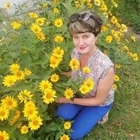  --,   , 56 ,   ,   , c 