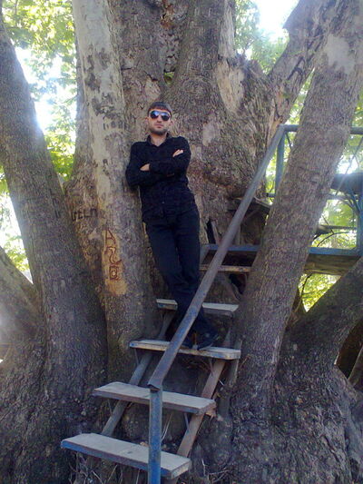  ,   Hamar greq, 37 ,   ,   , c 