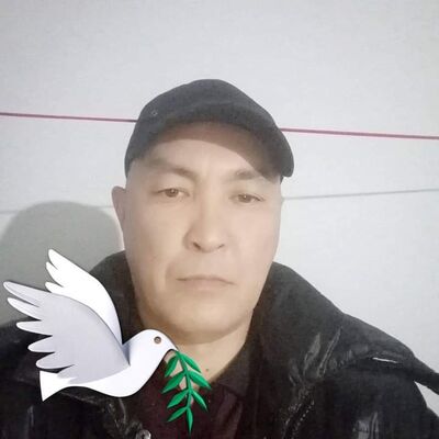  ,   , 53 ,   ,   