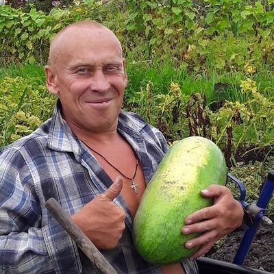 ,   , 54 ,   