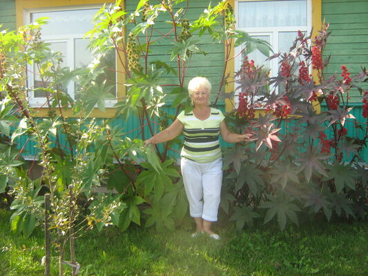  ,   , 76 ,   ,   , c 