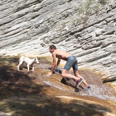  7491466  , 33 ,    -