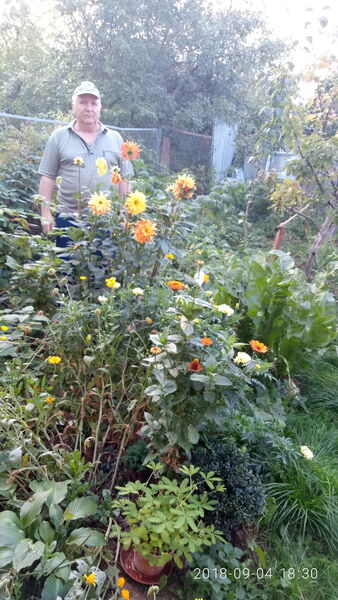  ,   , 62 ,   ,   , c 