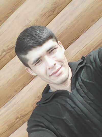  ,   ARK UZ, 31 ,   ,   , c 