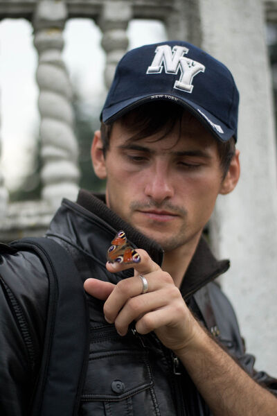  ,   Dimon, 39 ,   ,   , c 