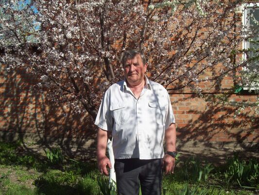  ,   , 65 ,   