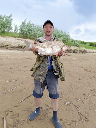  ,   , 46 ,   ,   , c 