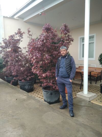  ,   Zzzzz, 45 ,   ,   