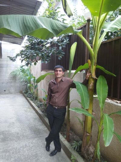  ,   , 37 ,     , 