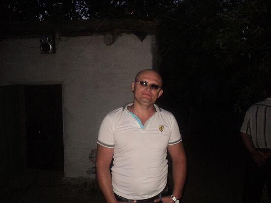   ,   , 41 ,   