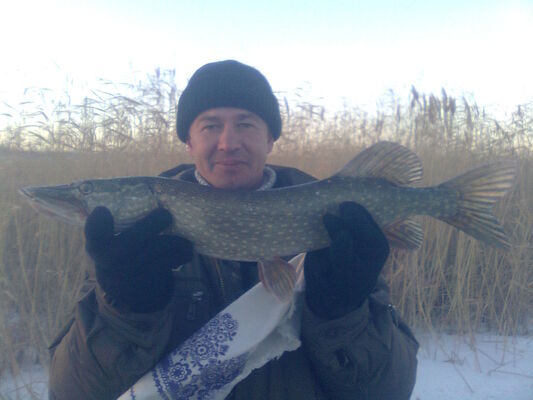  ,   Aleksandr, 50 ,  