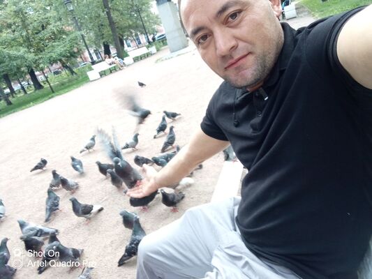  ,     , 36 ,   ,   