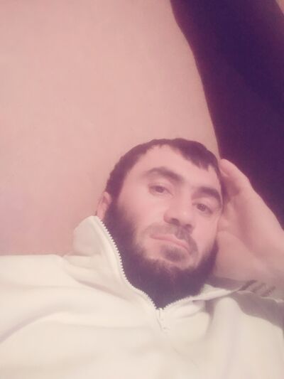 ,   ZamiR, 36 ,   ,   , c 