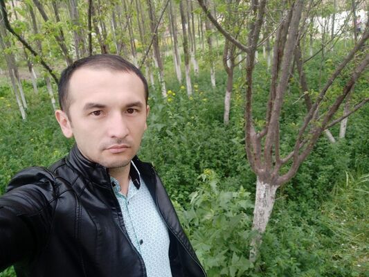  ,   Ozod, 36 ,   ,   , c 