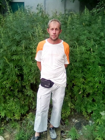  ,   , 42 ,   , 