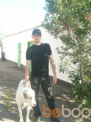 ���������� ���������, ���� ������� Shico, 40 ���, ������������ ��� ������