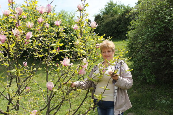  ,   , 58 ,   ,   , c 