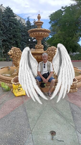  -,   , 55 ,   ,   