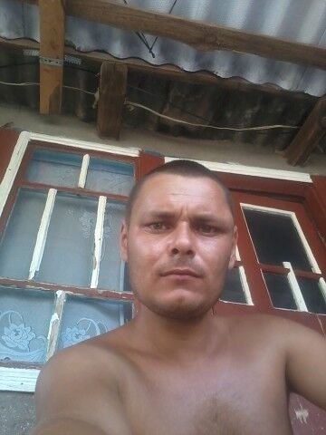  9044256  , 39 ,    -