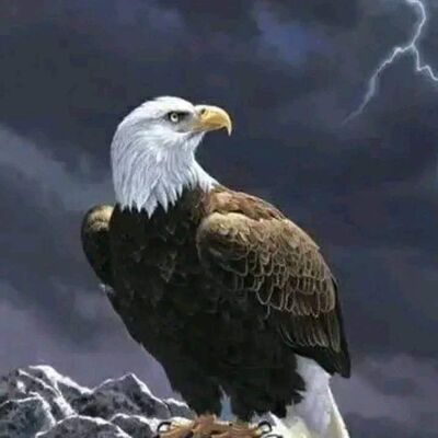  Algiers,   Armando, 45 ,   ,   