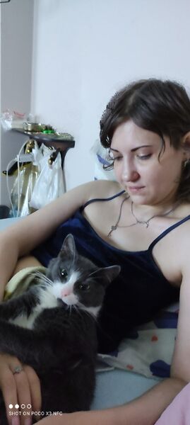  ,   , 35 ,   ,   , 