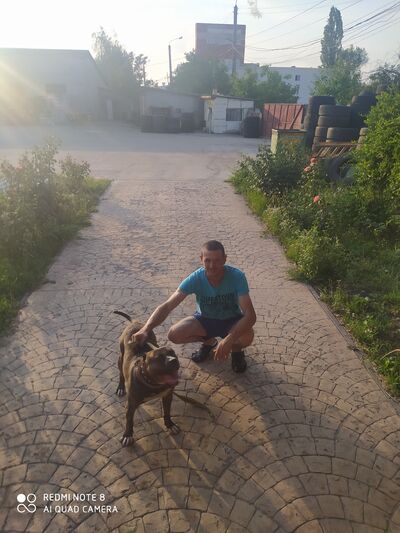  ,   Dima, 37 ,   ,   