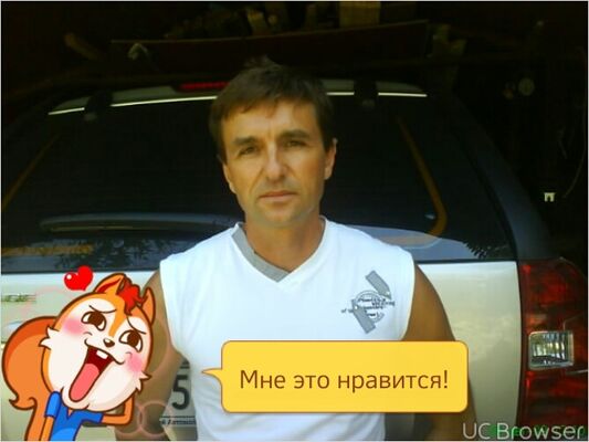  ,   Vystrel, 53 ,   ,   , c 