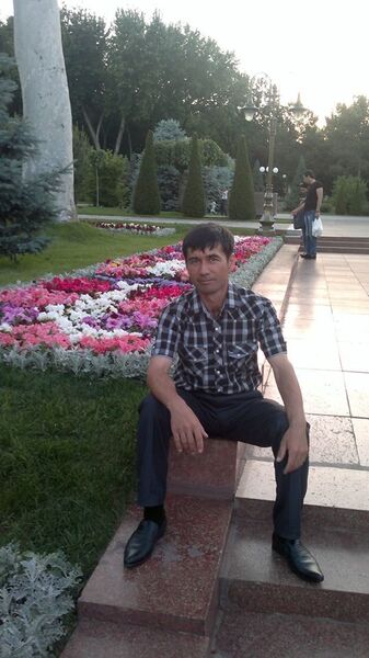  ,   Golib, 43 ,     , c , 