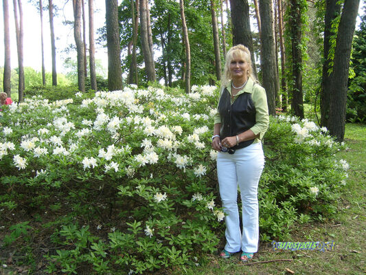  ,   Nata, 67 ,   ,   , c 