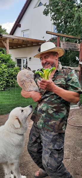  Bernau,   Wlad, 66 ,  