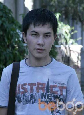 ���������� �������, ���� ������� 87785414041, 32 ����, ������������ ��� ������