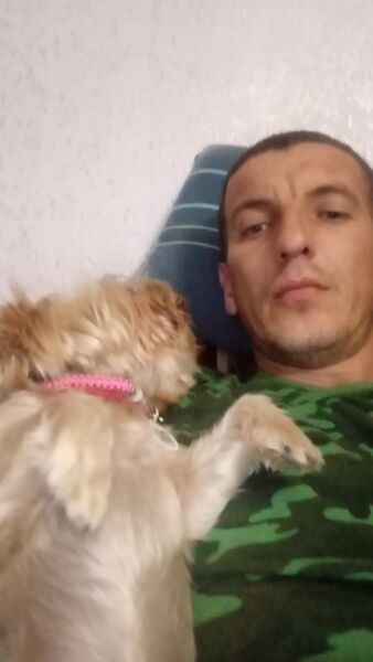  ,   Tema, 37 ,   ,   