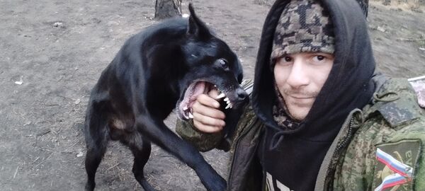   ,   Z, 34 ,  
