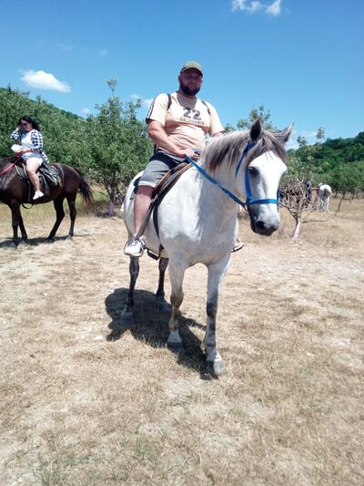  deleted,   Alexander, 41 ,   ,   