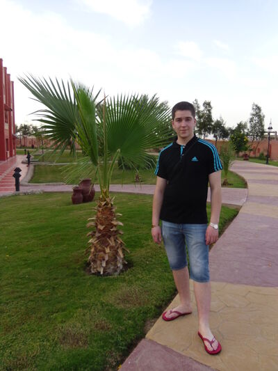  ,   , 33 ,  