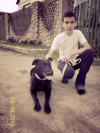  ,   , 29 ,   c , 