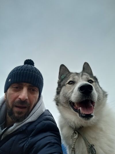  ,   , 42 ,     