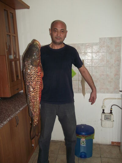  ,   Alex, 57 ,   ,   , c 